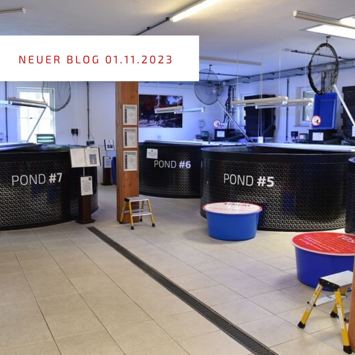 2023_11_01_Werkzeug desinfizieren