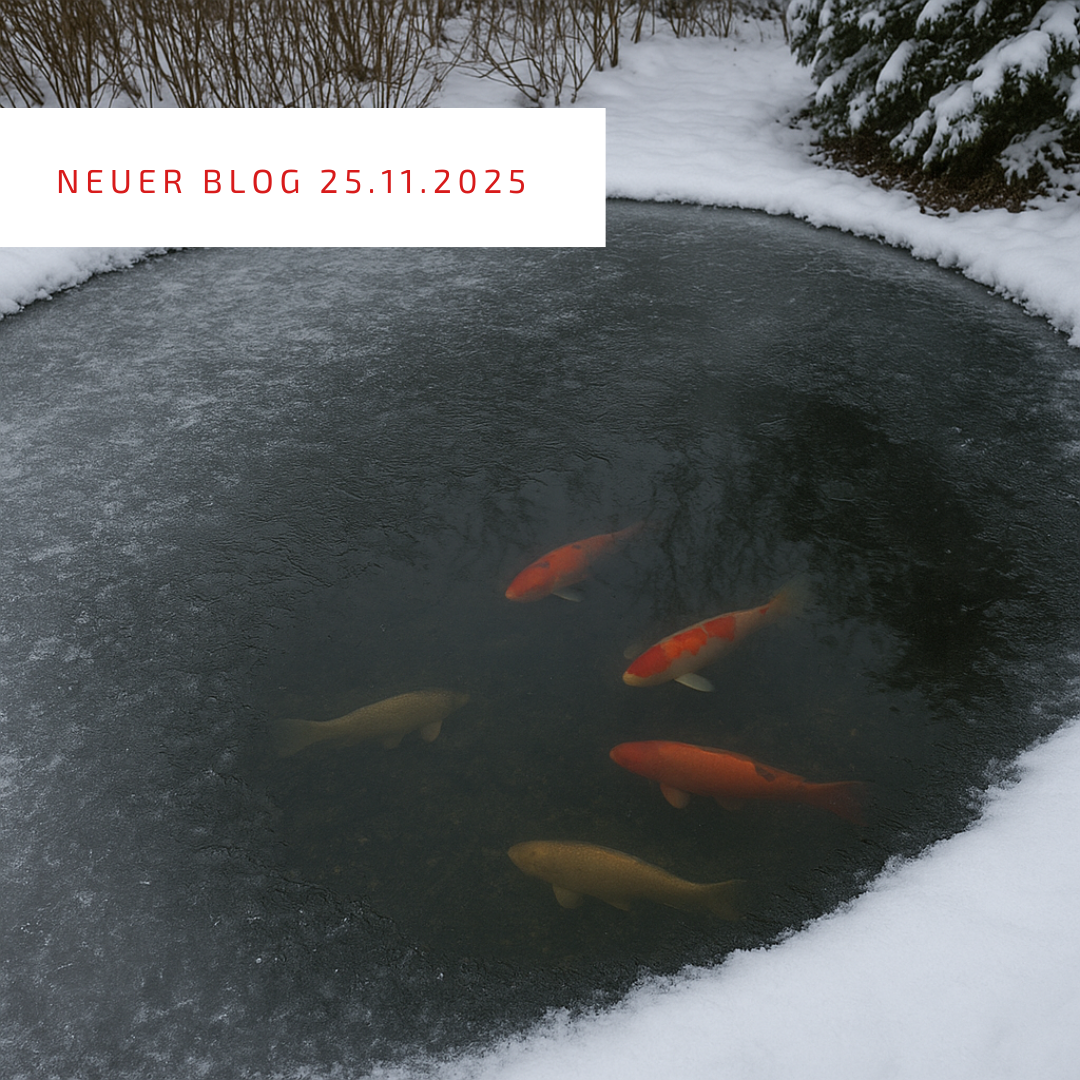 Blogpost 25.11.2025