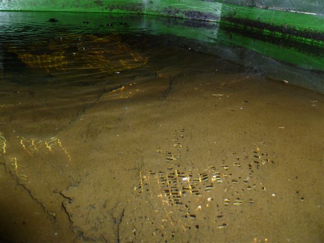 verschlammterFilter2