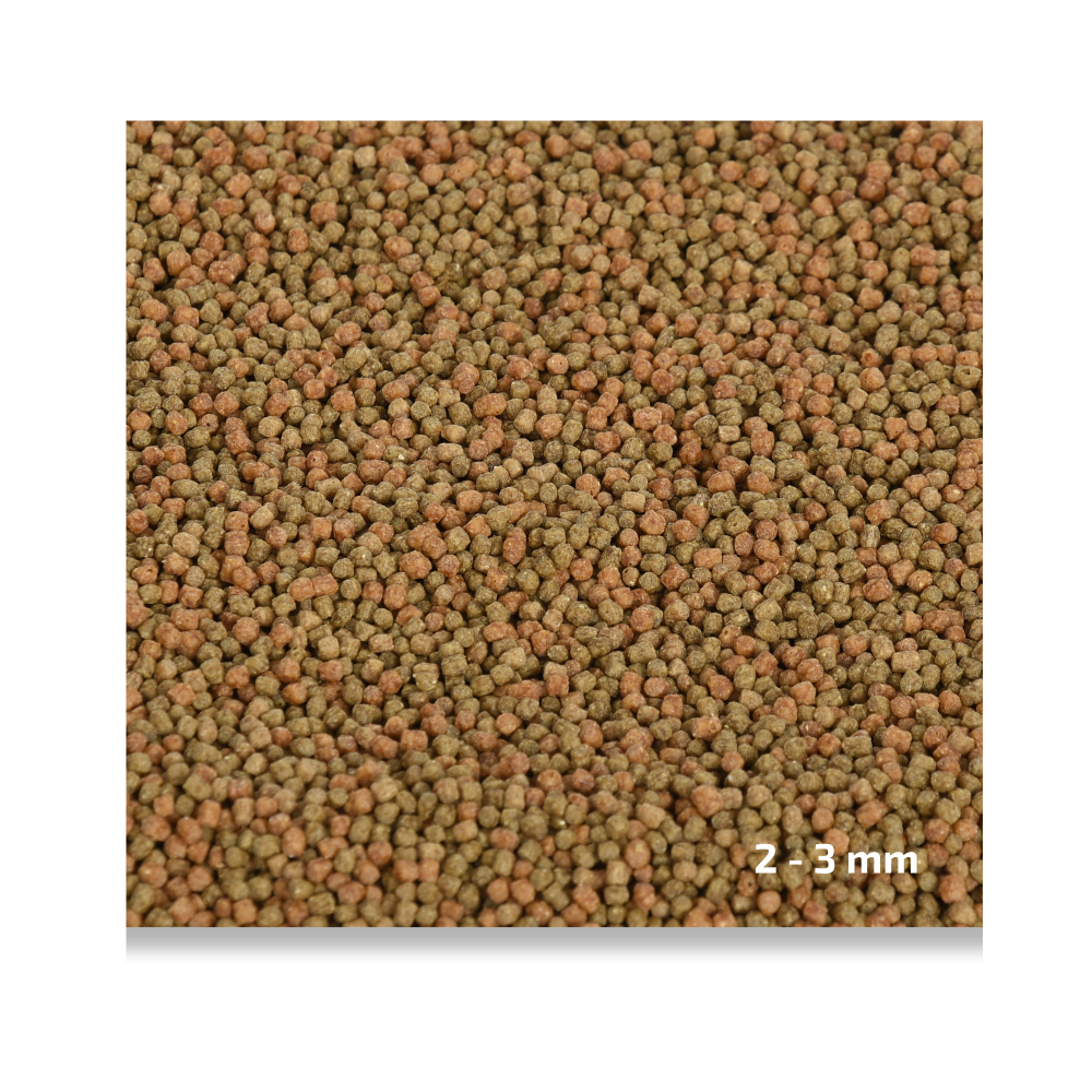 Koi Spezial Futtermix Medium über 15°C