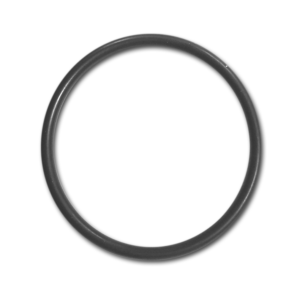 Ersatzdichtung  für Pond Police Industrie UV-C Flansch