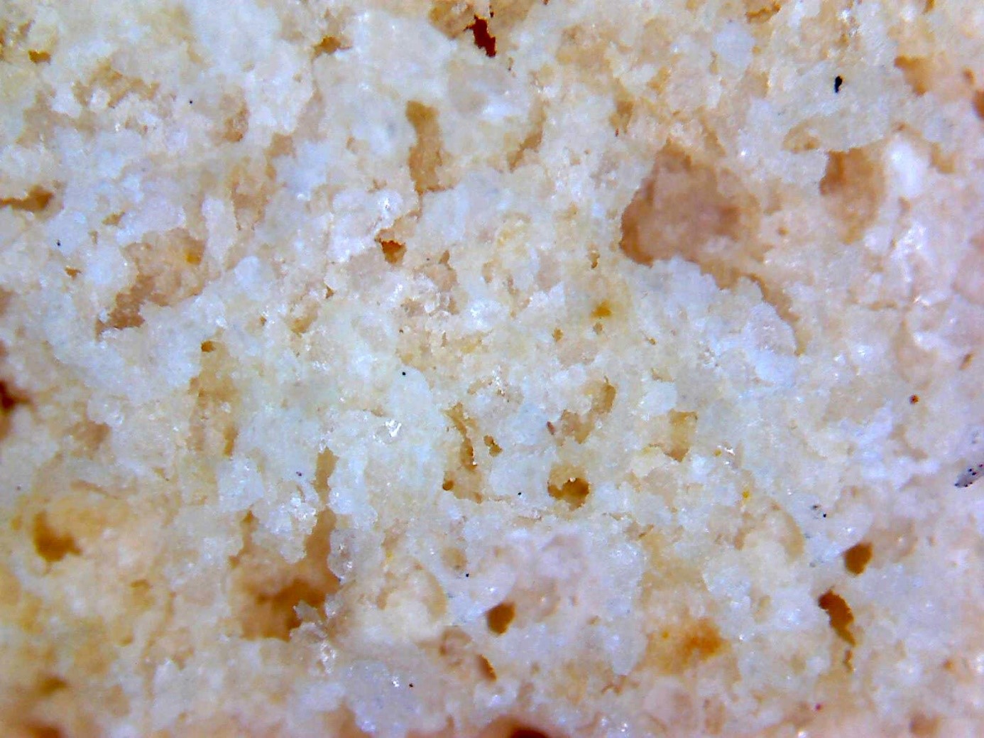 150_fache_Vergroessung_Nitroring_Mountaintree