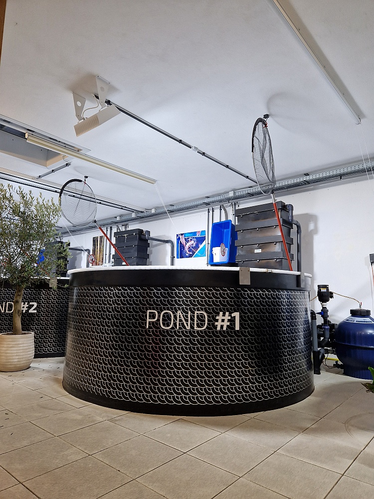 Rundteich 7.400l ohne Zubehör und Technik