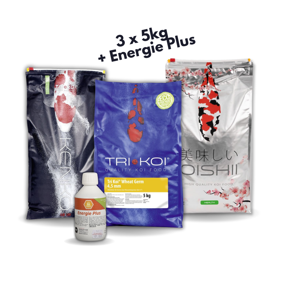 Koifutter Set: Frühjahr + Herbst groß